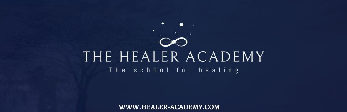 The Healer  Academy