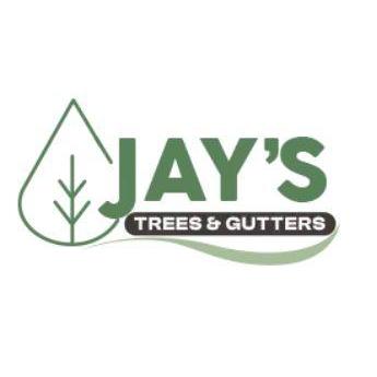 Jays   Trees and Gutters