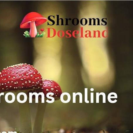 Shrooms Doseland