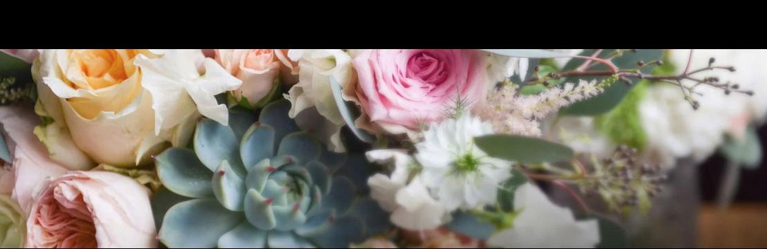 My Florist And Flower Delivery