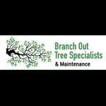 Branch Out Tree Specialist