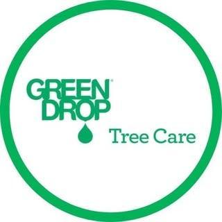 Green Drop Trees