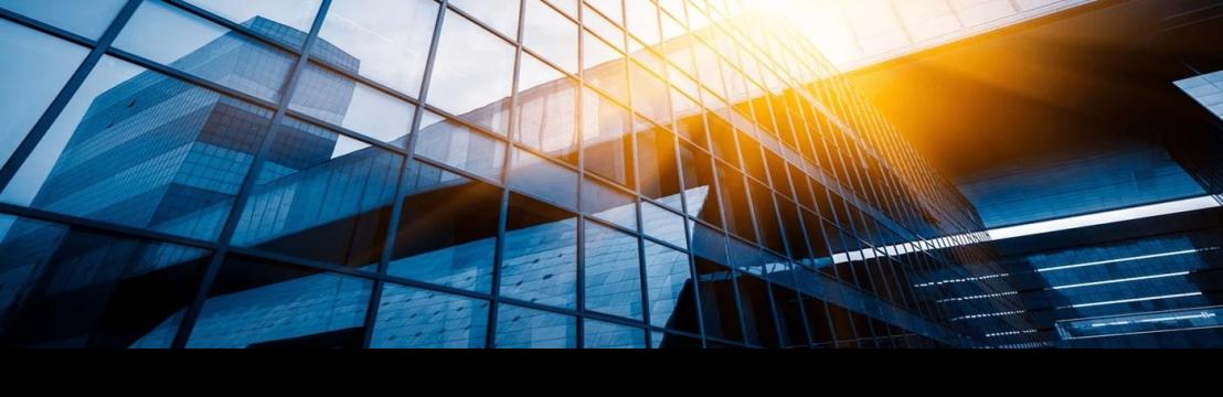 CAPITAL FUND  INTERNATIONAL LIMITED