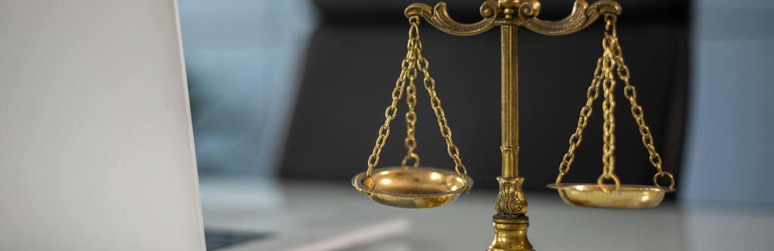 Danielle Oliveira New Jersey