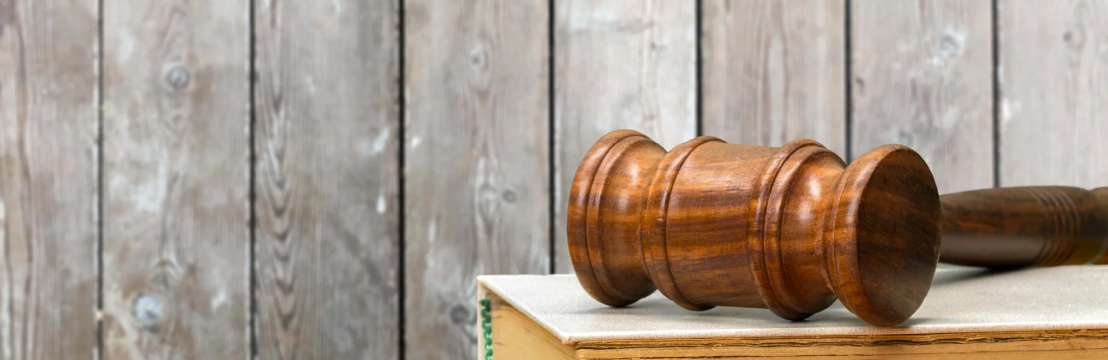 E-Courses For  Court Georgia