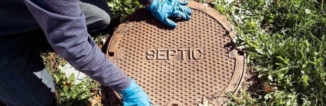 Septic Blue Of Griffin