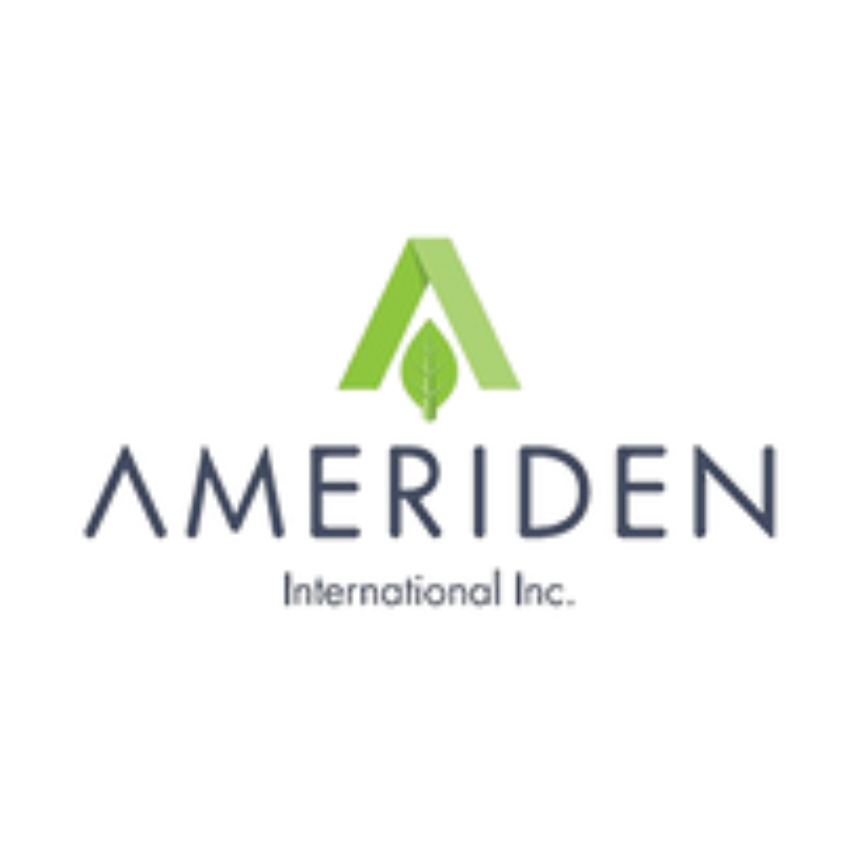 Ameriden International Inc